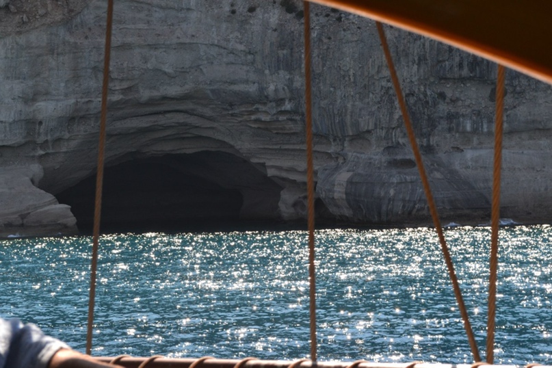 Дмитрий Губарев Александрович | Череповец