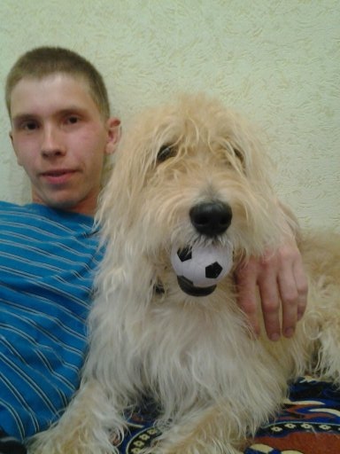 Андрей Арсеньев | Киров