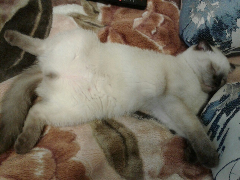 Игорь Губанов | Санкт-Петербург