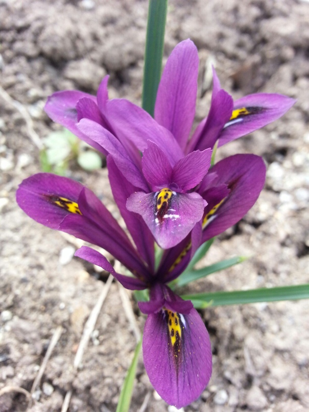 Наталья Берсенева | Екатеринбург