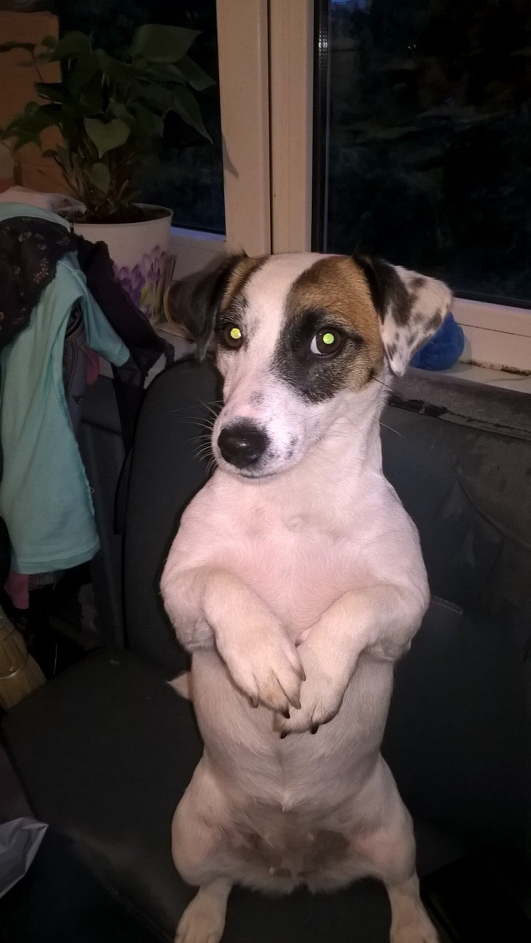 Светлана Герасимова | Санкт-Петербург