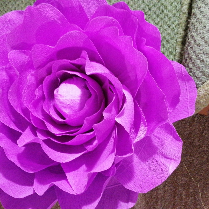 Катерина Махова | Энергодар