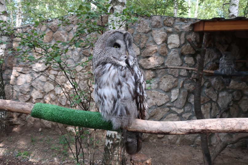 Анна Семёнова Брониславовна | Чебоксары