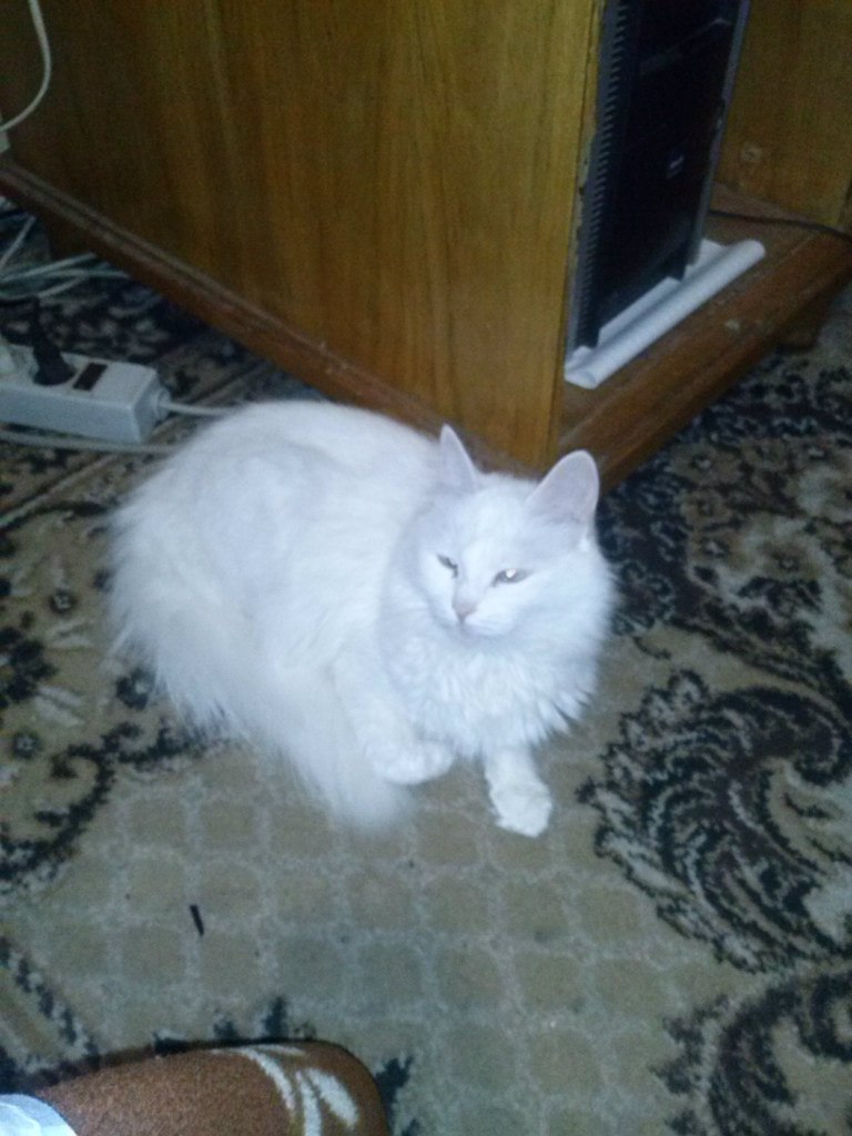 Наталья Бердникова | Николаев