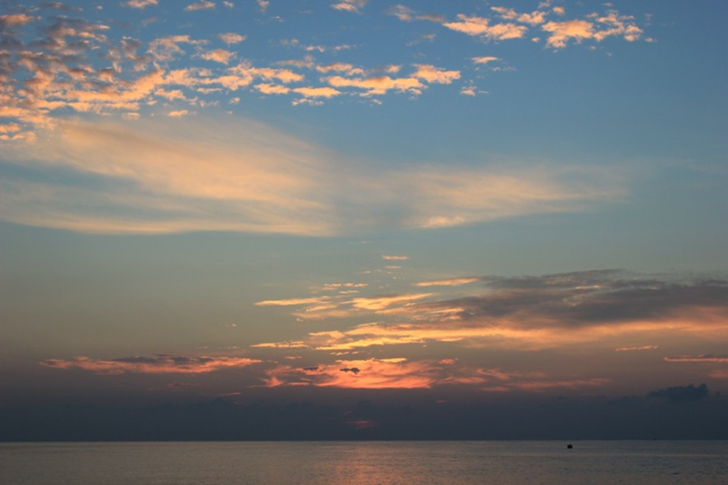 Лейла Гаибова | Москва