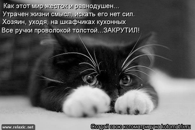 Лена Захарова ♡:))*****)))))) | Ангарск