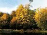 Наталья Степанова | Чехов