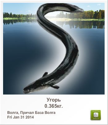 Юра Власов | Киев