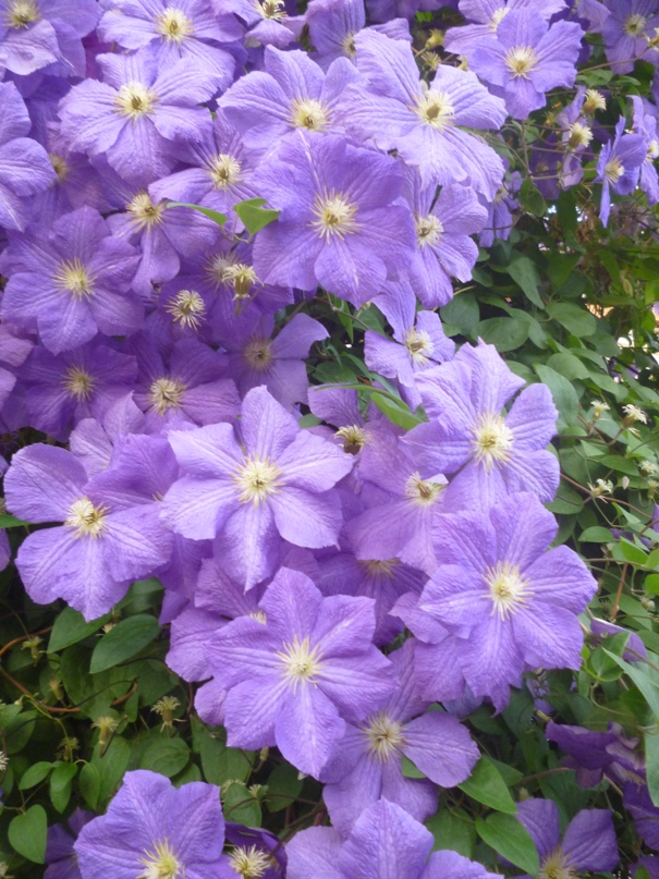 Дарья Белова | Санкт-Петербург