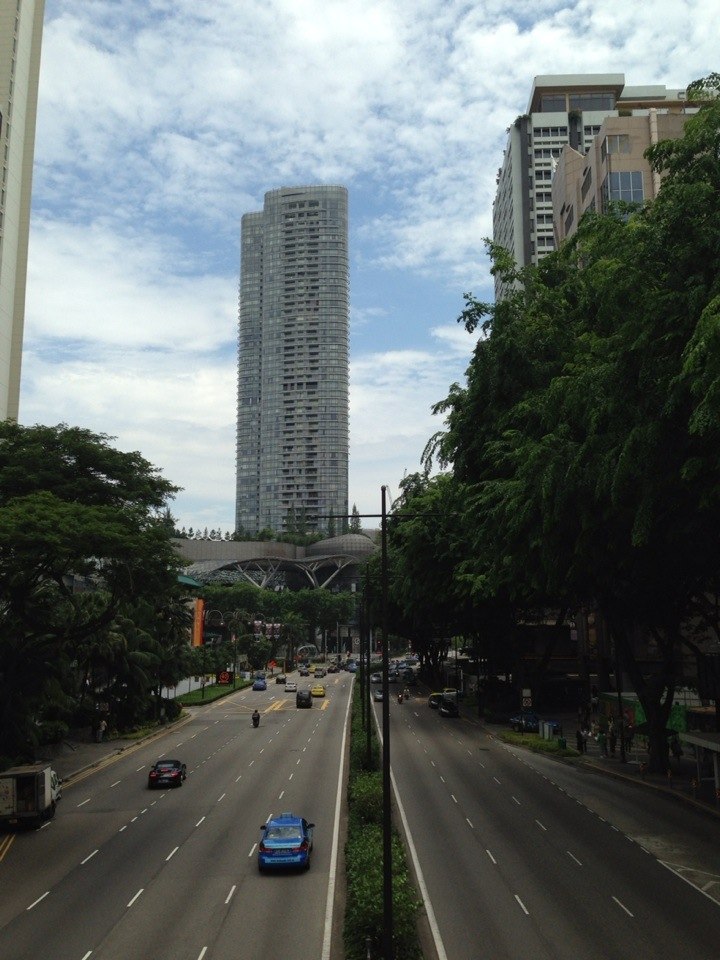 Мечислав Захаров | Санкт-Петербург