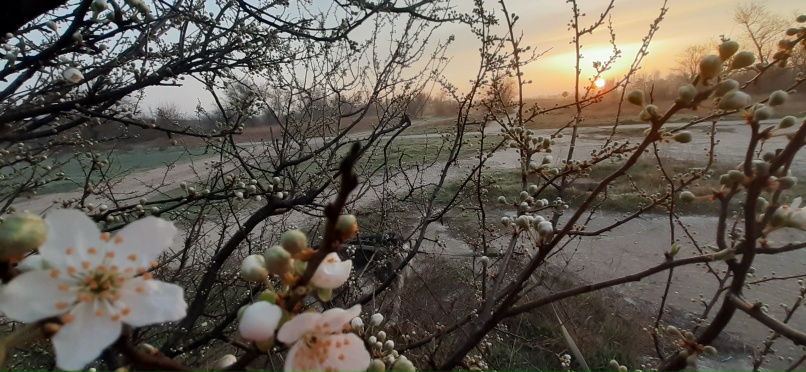 Наталья Шмакова | Армянск