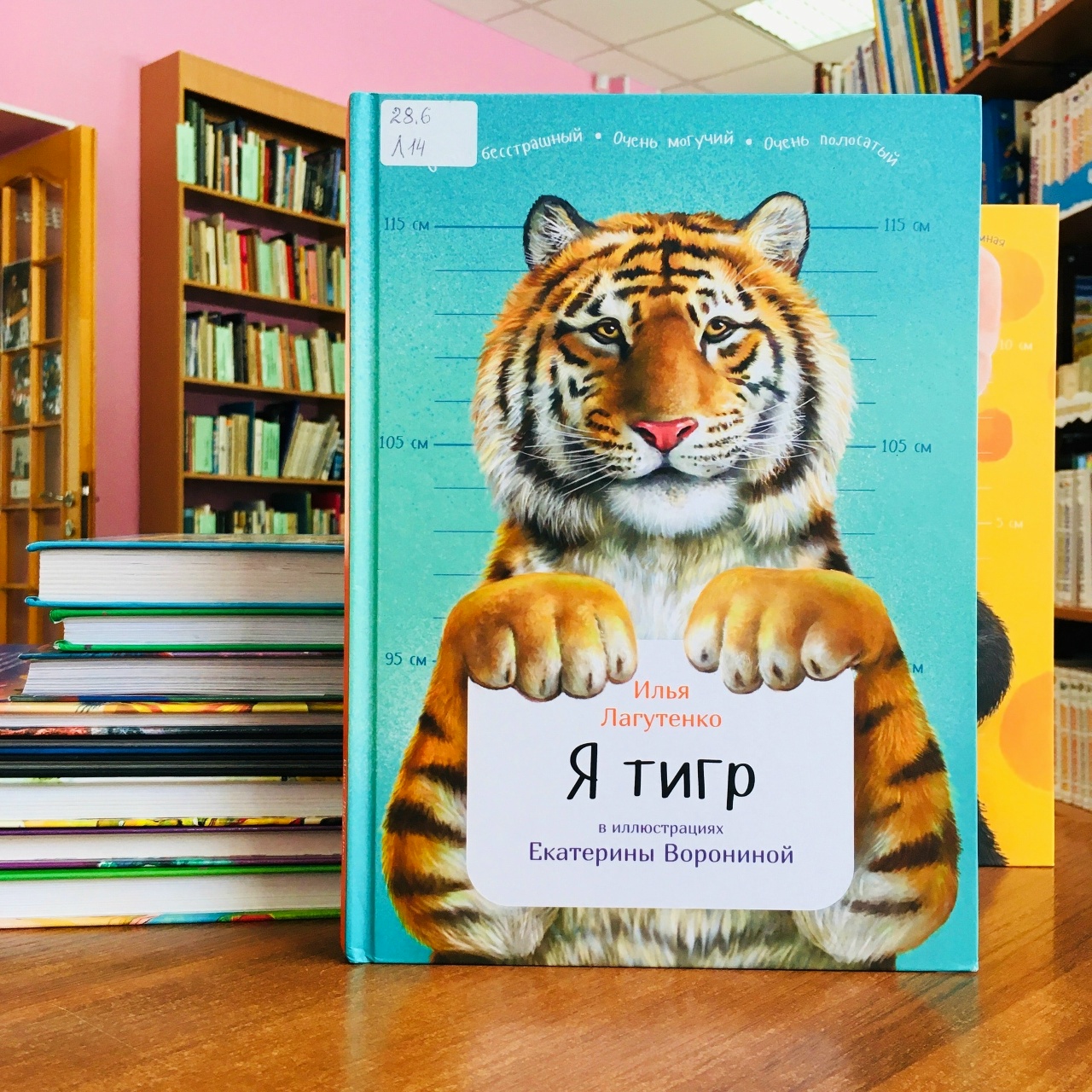 In a year, an adult tiger eats a whole truck of meat – 3,000 kilograms