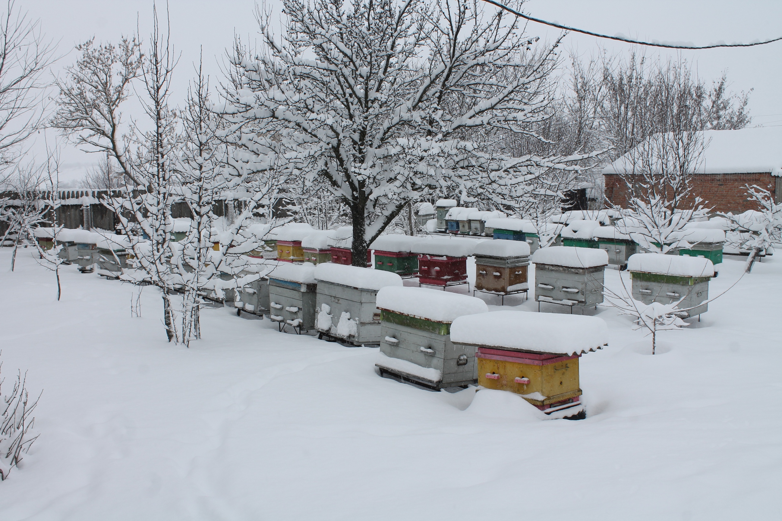 Пасека зимой