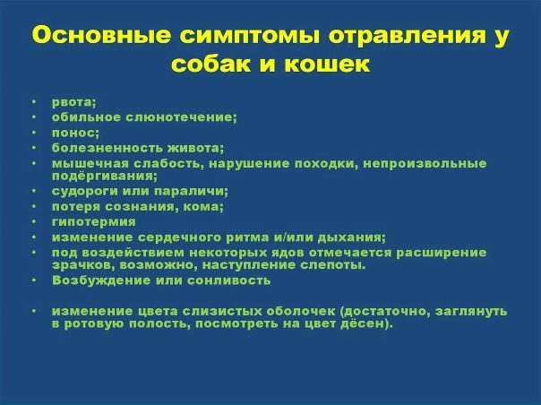 Симптомы отравления у собак. Отравление у собаки симптомы. Симптомы при отравлении собаки. Первая помощь при отравлении собаки. Синдромы при отравлениях у животных.