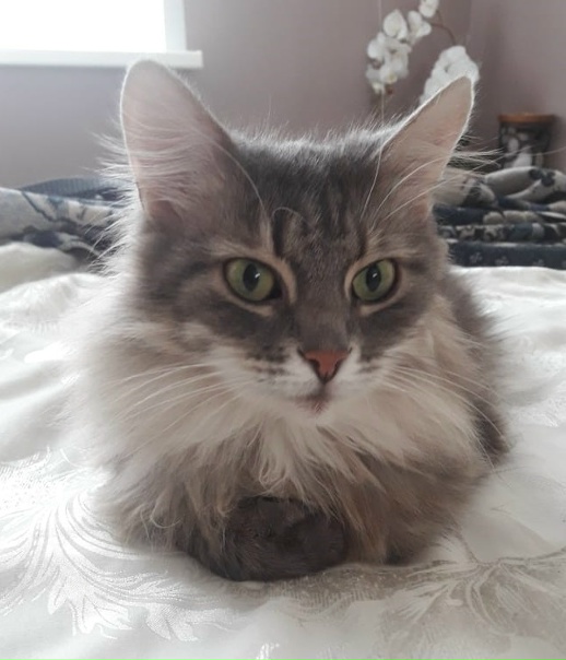 В районе садоводств "Луч-2" и "Ручеек"...