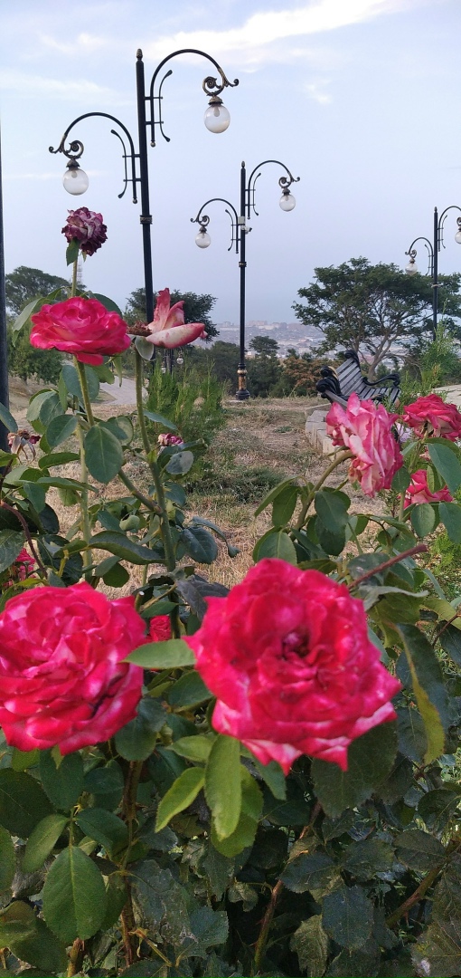 Екатерина Малышева | Березники