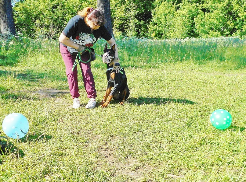 Евгений Климов | Ярославль