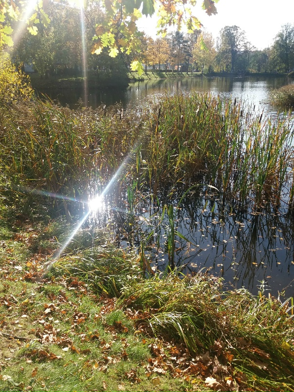 Надежда Румянцева | Санкт-Петербург
