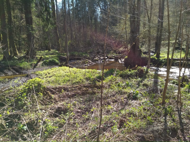 Дмитрий Волчков | Дятьково