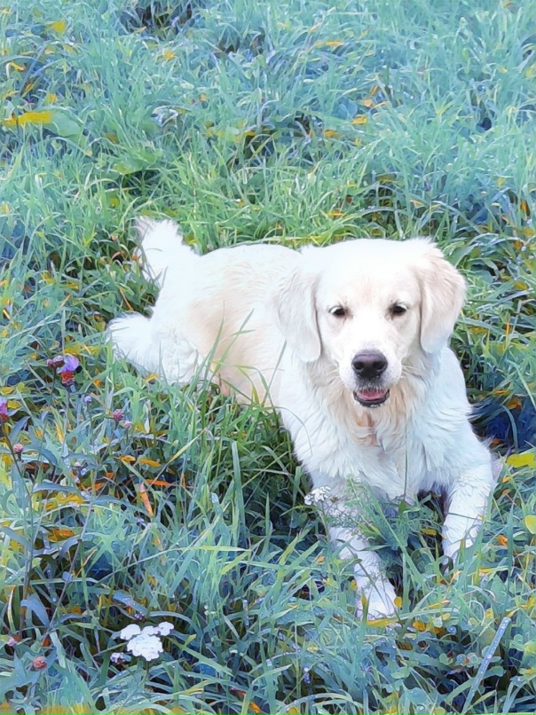 Светлана Ерохина | Санкт-Петербург