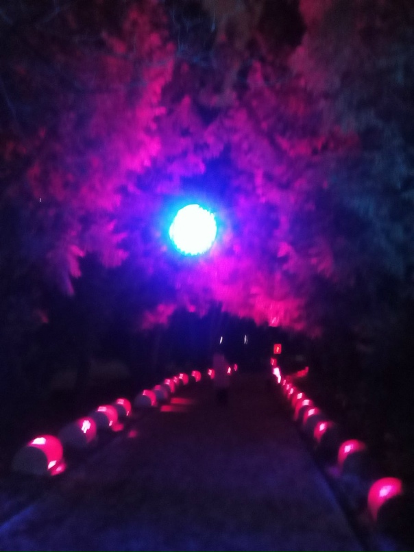 Екатерина Русакова | Санкт-Петербург