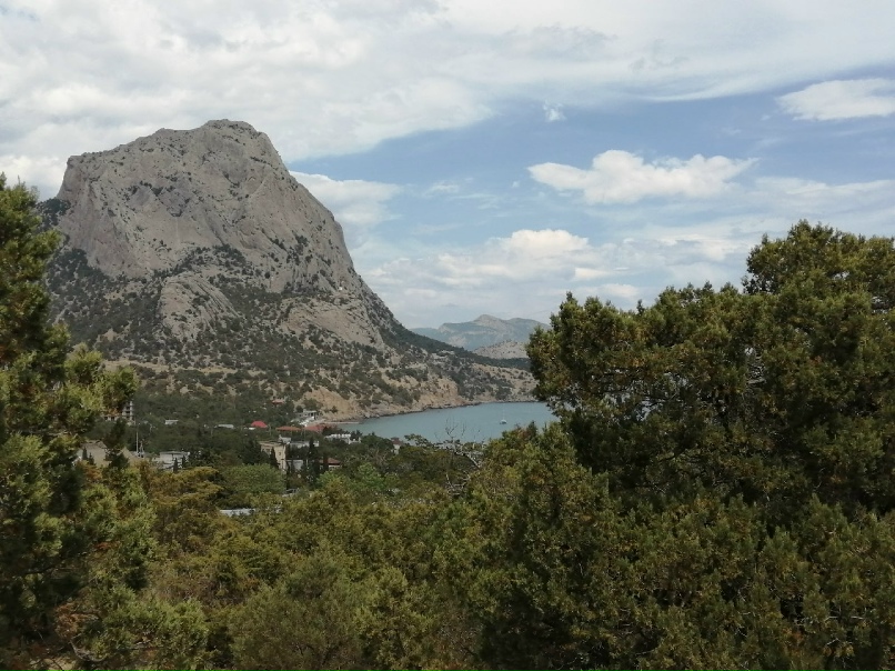 Елена Чеснокова | Санкт-Петербург