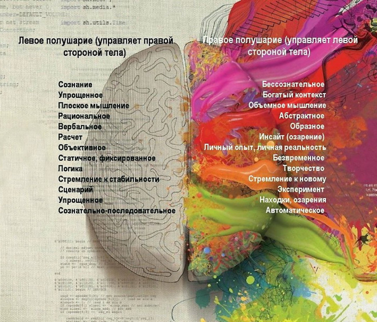 Левое и правое полушарие мозга