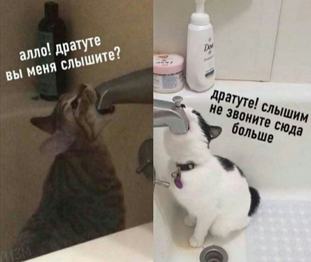 Смешные картинки с надписями до слёз