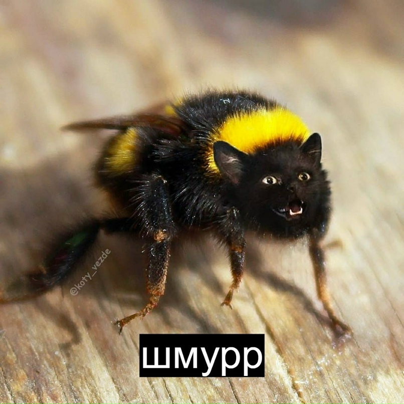 Екатерина Гильмиярова | Уфа