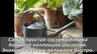 Поливаем быстро. Самая простая система полива комнатных растений.