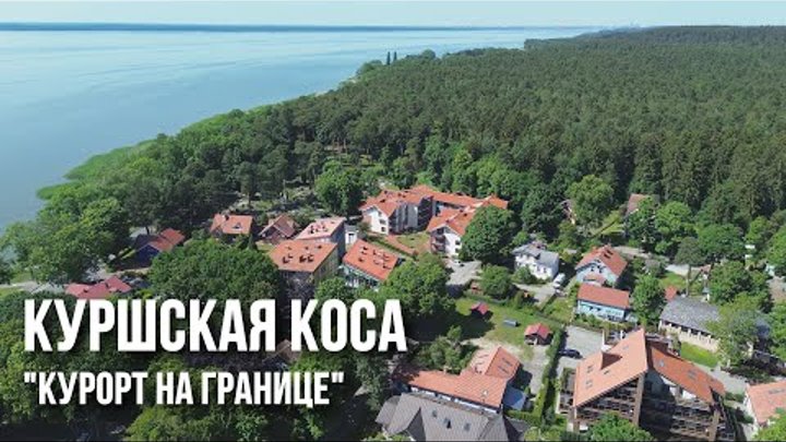 Нида, Куршская коса: языческие крикшты, лес цапель, мёртвые