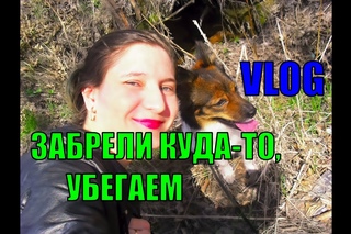 VLOG : ЗАБРЕЛИ КУДА ТО. НЕИЗВЕСТНОЕ МЕСТО. РУЧЬИ. ЛЕС. ПОЛЕ. ЗАВОД. ПОМОЙКА. СТРАШНО. УБЕГАЕМ !