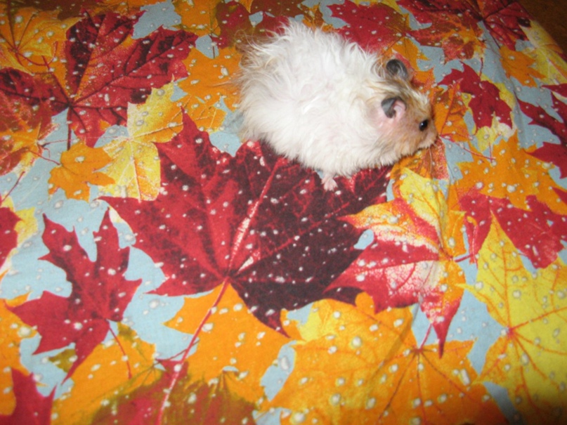 Константин Куклин | Екатеринбург