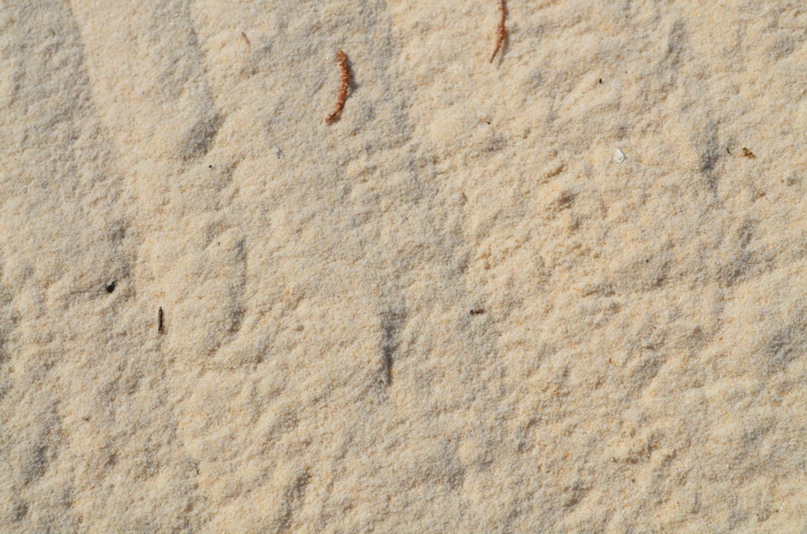 Ирина Левицкая | Тула