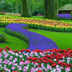 هدى عراقيه