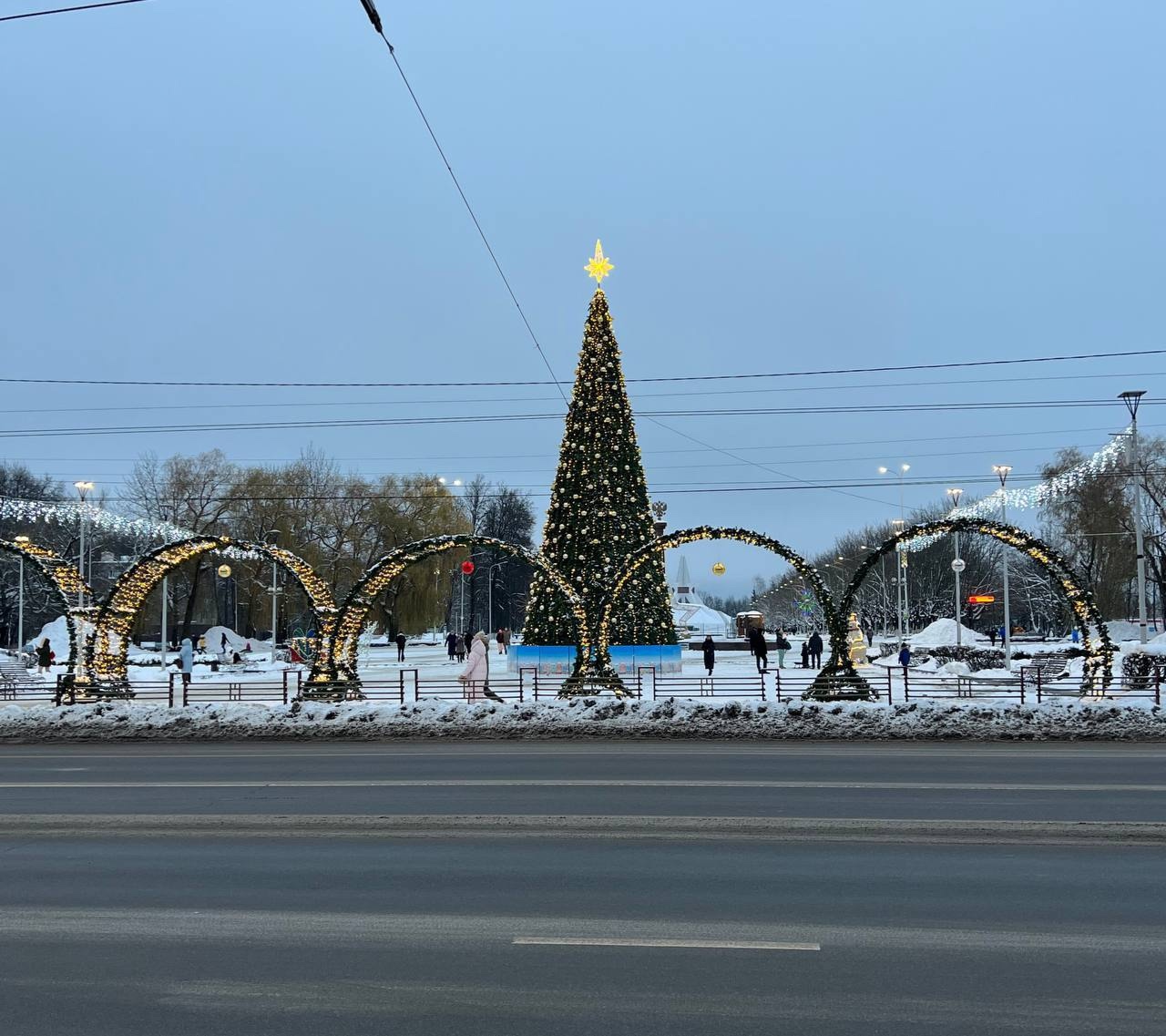 Какая красота 😻🎄