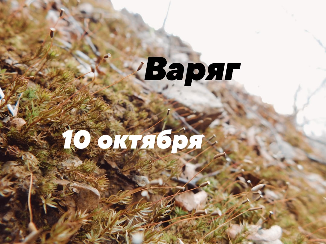 Афиша Владивосток Ебучий глинт