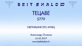 ТЕЦАВЕ 5779 СВЕТИЛЬНИК ЕГО АГНЕЦ (А.Огиенко )