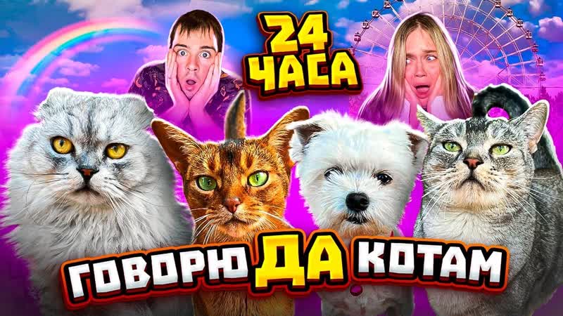 24 ЧАСА ГОВОРЮ ДА ВСЕМ КОТАМ ВТАЙНЕ ОТ