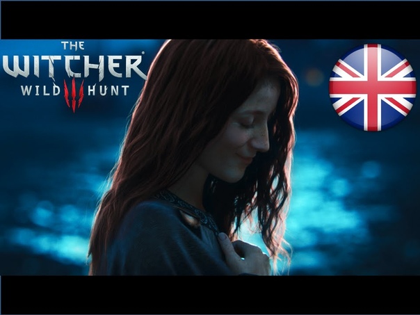 The Witcher 3: Wild