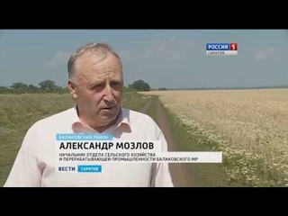 Как саратовские аграрии отнеслись к закону об использовании земель сельхозназн...