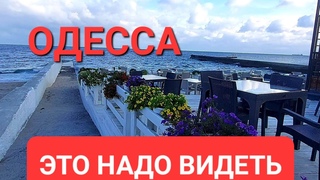 20 октября .Одесса.Тревожная обстановка.Как же я его люблю  Это надо видеть 💥