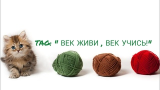 TAG: “ВЕК ЖИВИ -  ВЕК УЧИСЬ!“ /вязание/